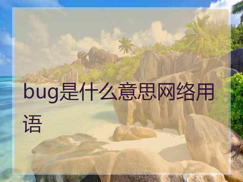 bug是什么意思网络用语