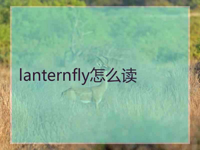 lanternfly怎么读