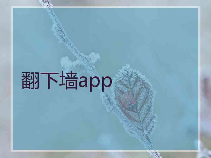 翻下墙app