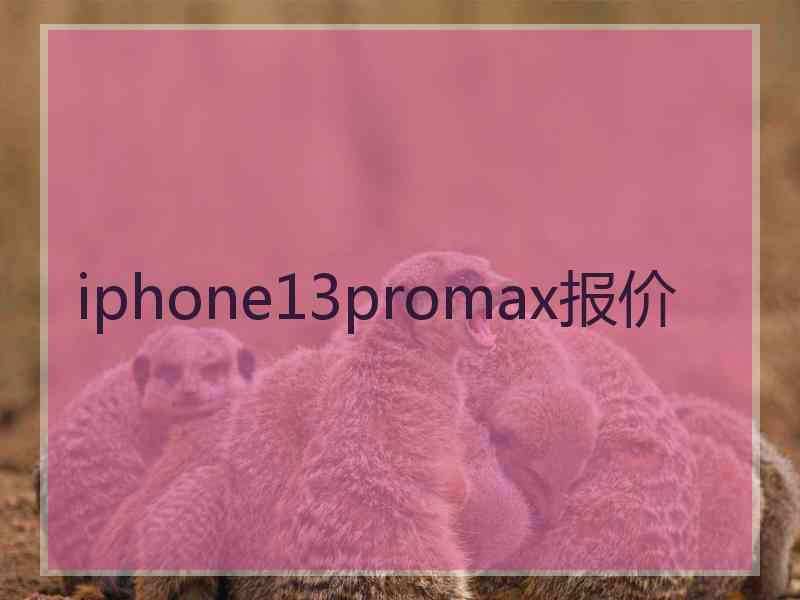 iphone13promax报价