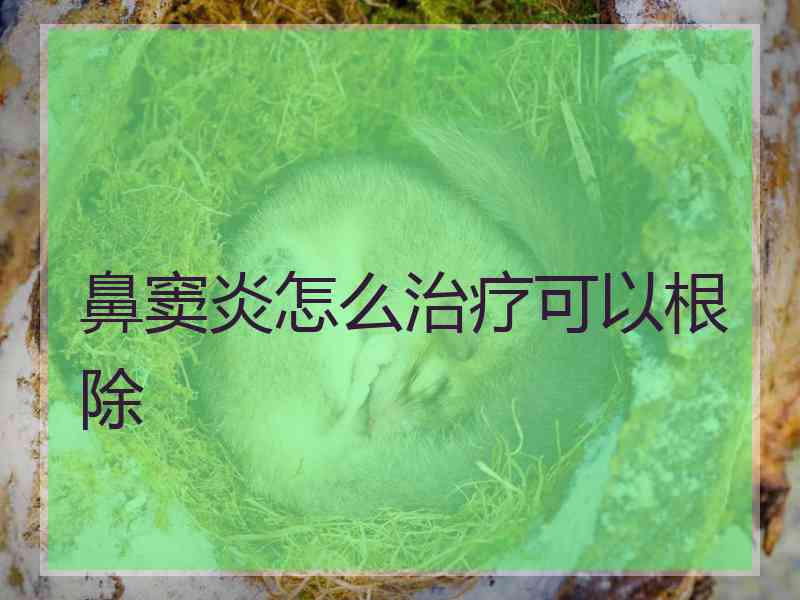 鼻窦炎怎么治疗可以根除