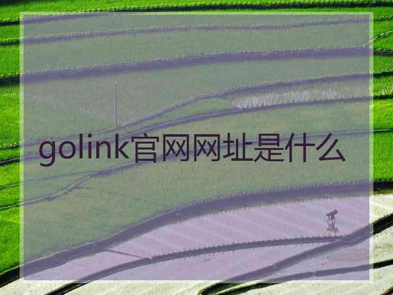 golink官网网址是什么