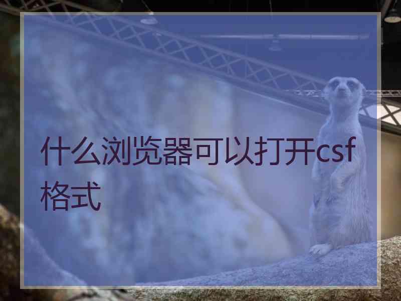 什么浏览器可以打开csf格式