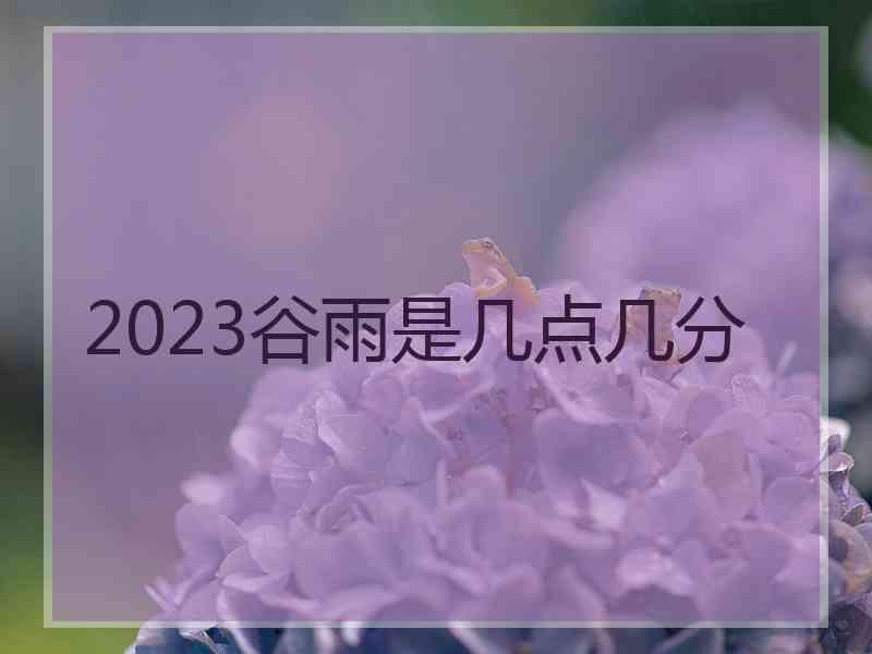 2023谷雨是几点几分