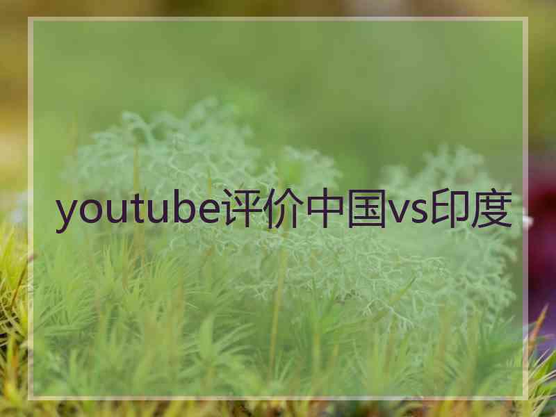 youtube评价中国vs印度