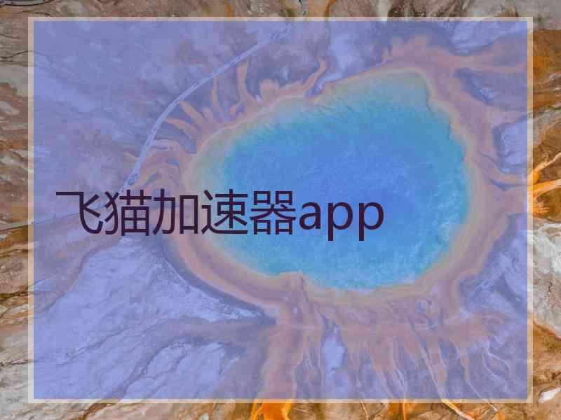 飞猫加速器app