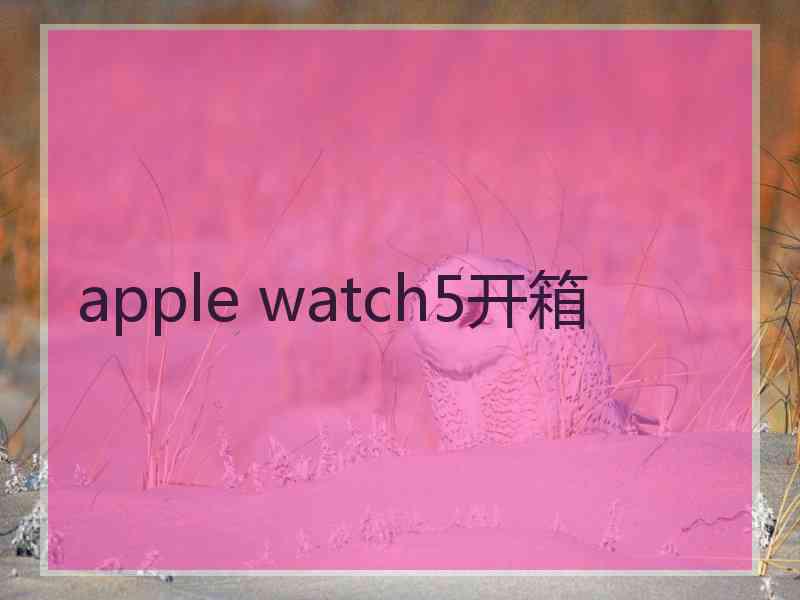 apple watch5开箱