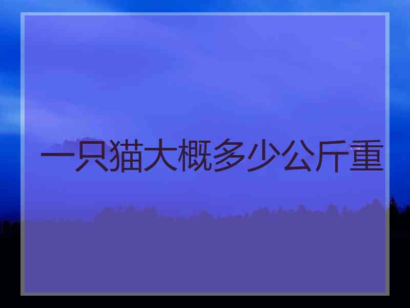 一只猫大概多少公斤重