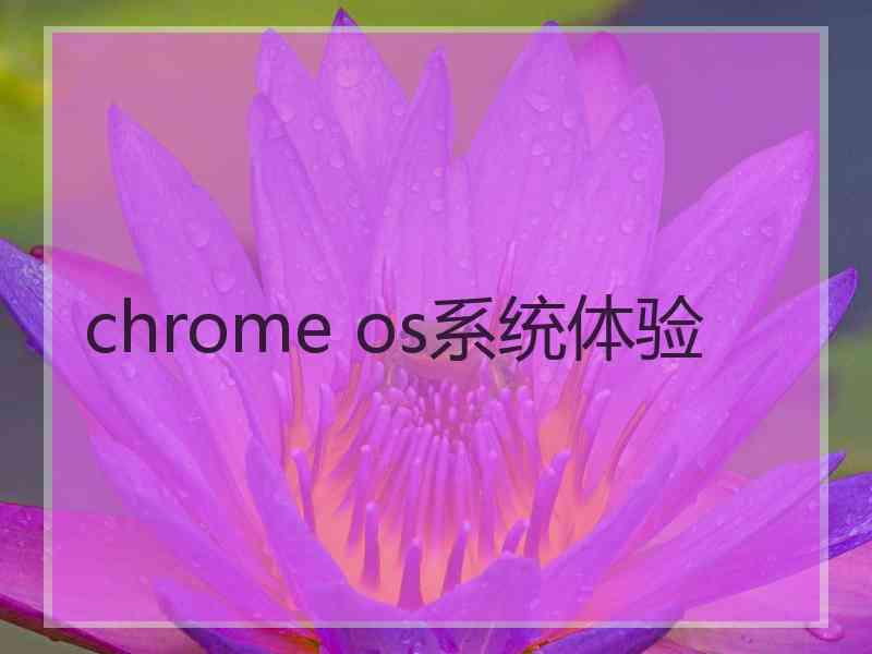 chrome os系统体验