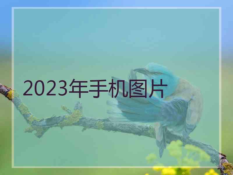 2023年手机图片