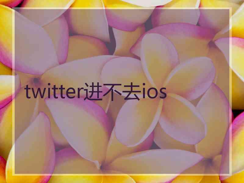 twitter进不去ios