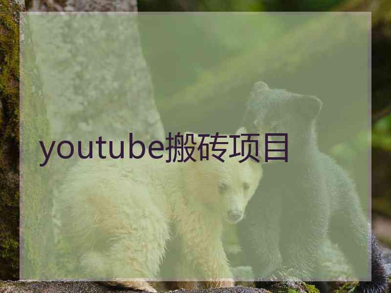 youtube搬砖项目