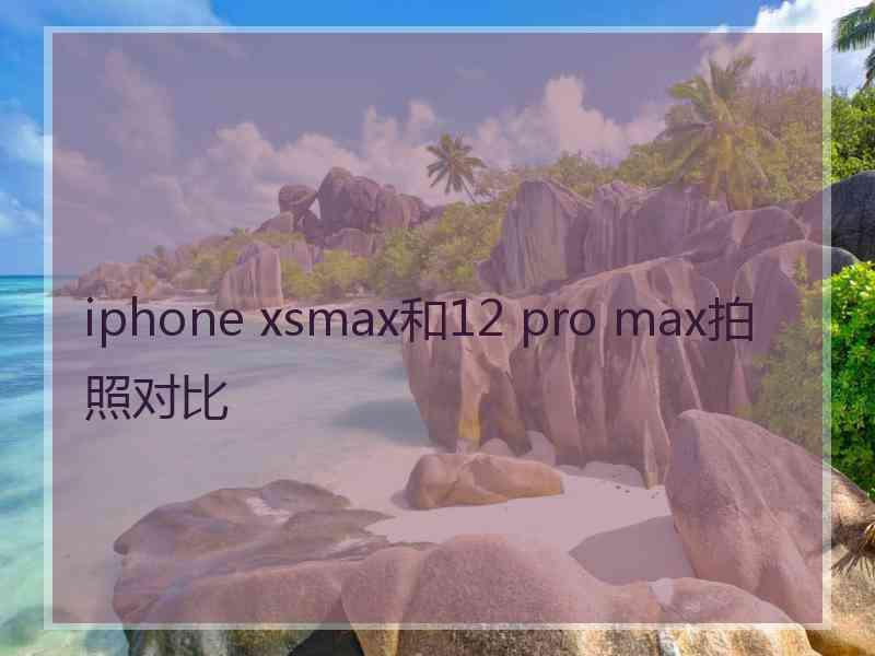 iphone xsmax和12 pro max拍照对比