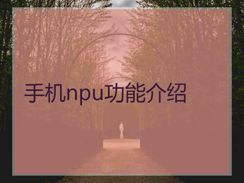 手机npu功能介绍