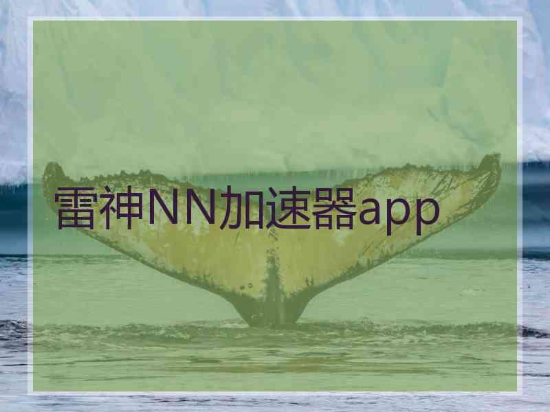 雷神NN加速器app