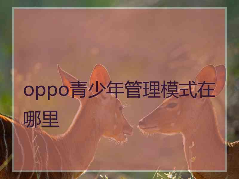 oppo青少年管理模式在哪里