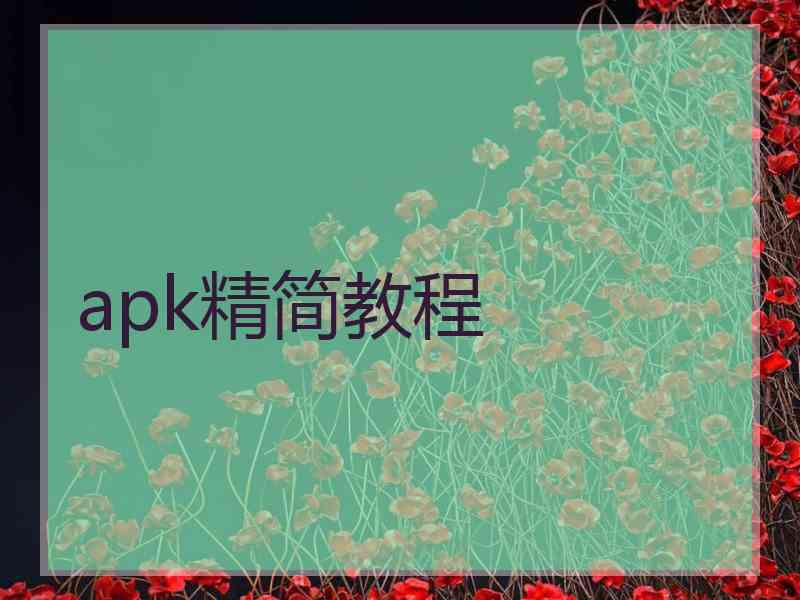 apk精简教程