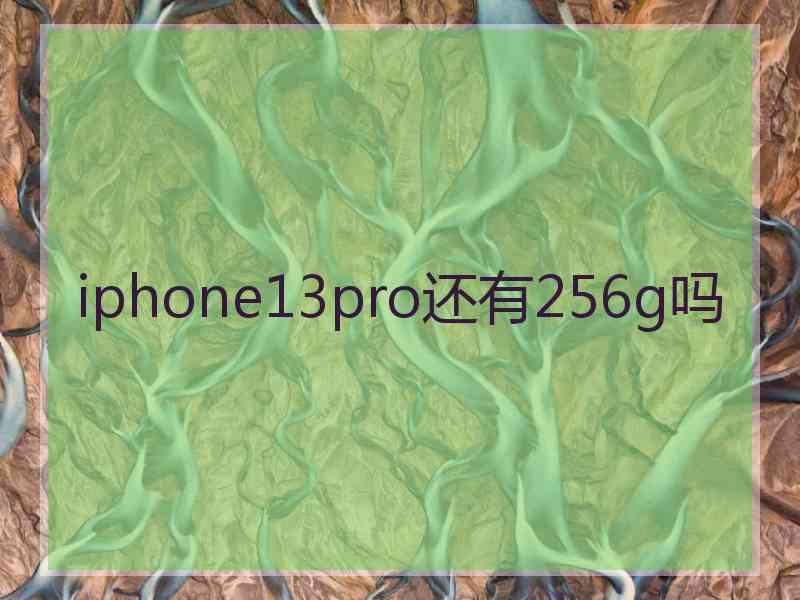 iphone13pro还有256g吗