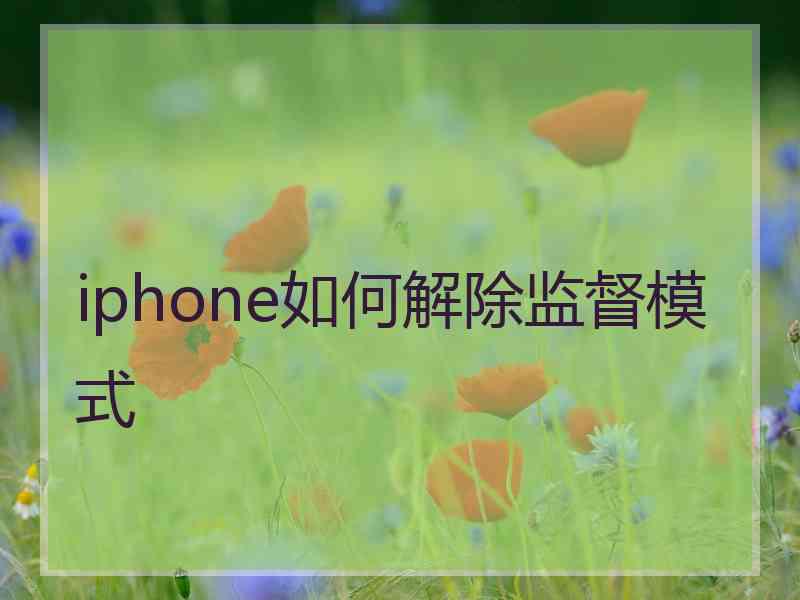 iphone如何解除监督模式