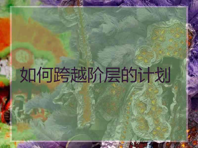 如何跨越阶层的计划