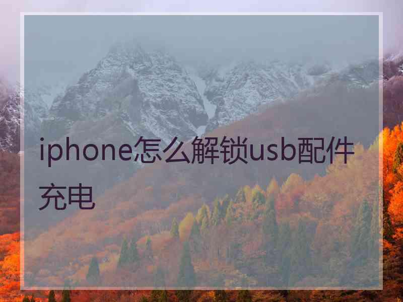 iphone怎么解锁usb配件充电