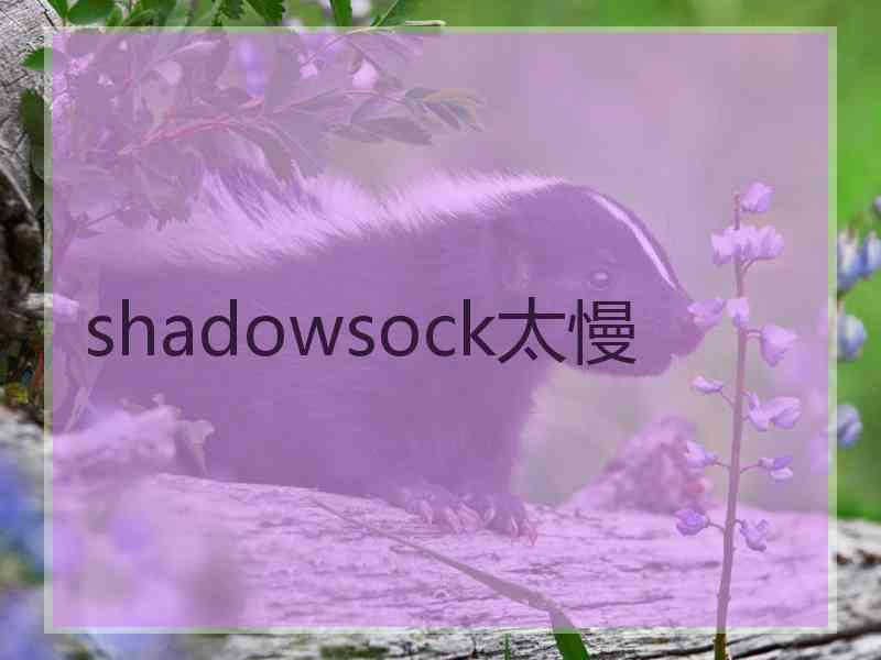 shadowsock太慢