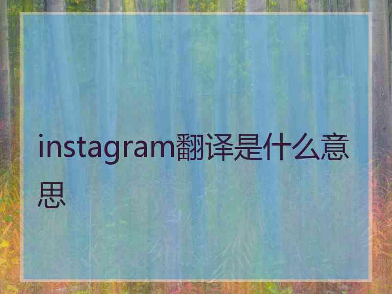 instagram翻译是什么意思