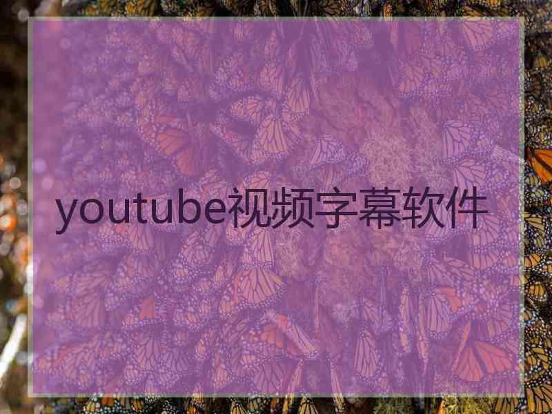 youtube视频字幕软件