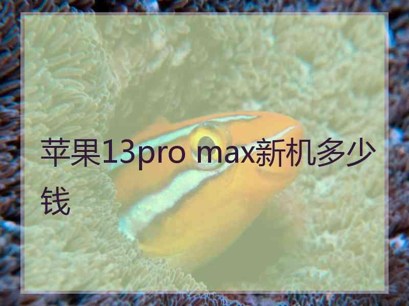 苹果13pro max新机多少钱