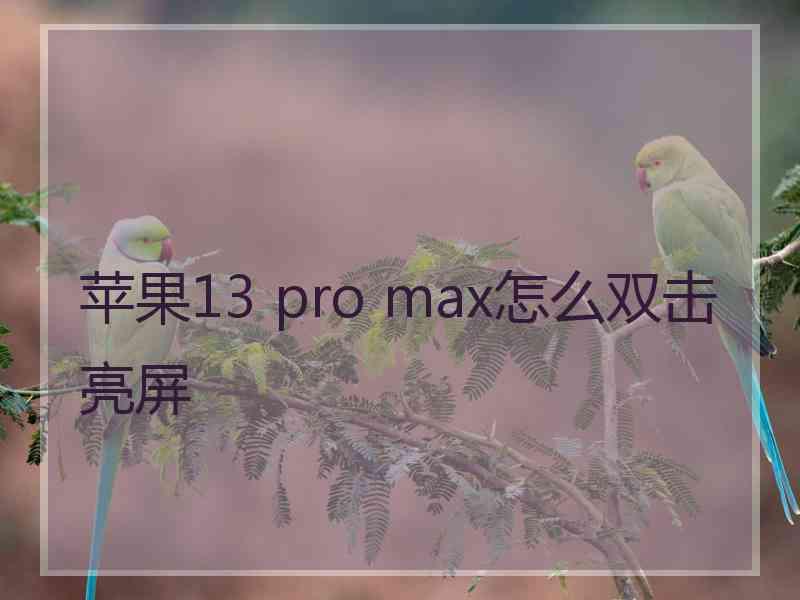 苹果13 pro max怎么双击亮屏