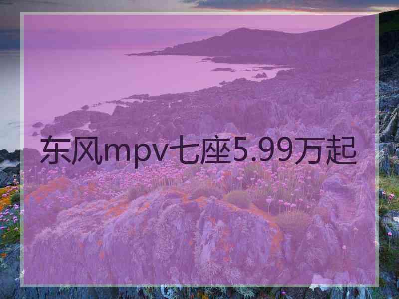 东风mpv七座5.99万起