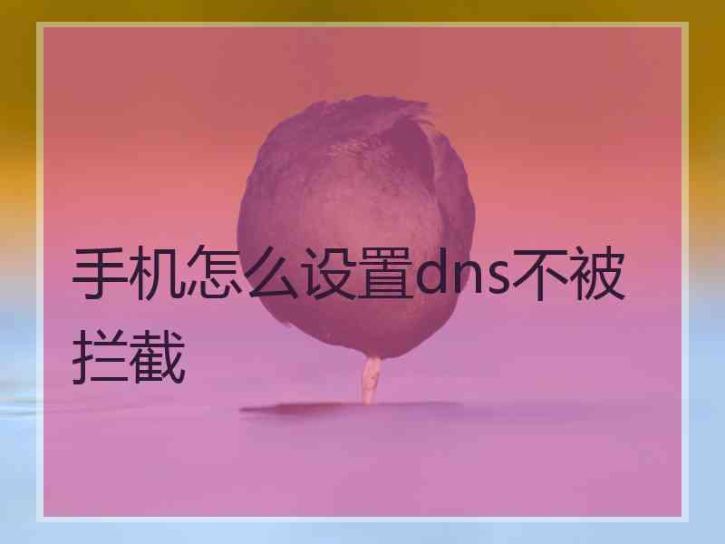 手机怎么设置dns不被拦截