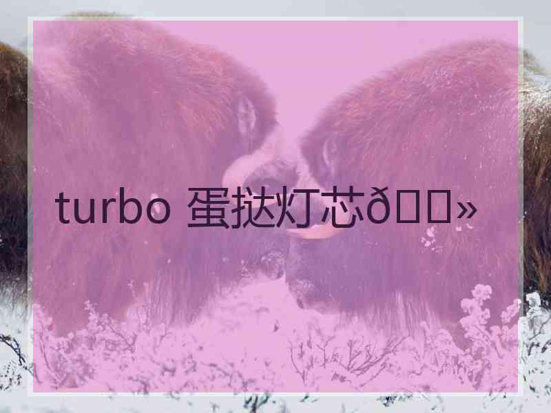 turbo 蛋挞灯芯😻