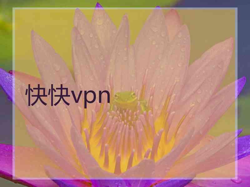 快快vpn