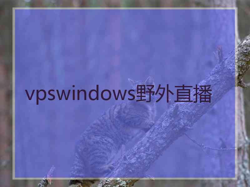 vpswindows野外直播