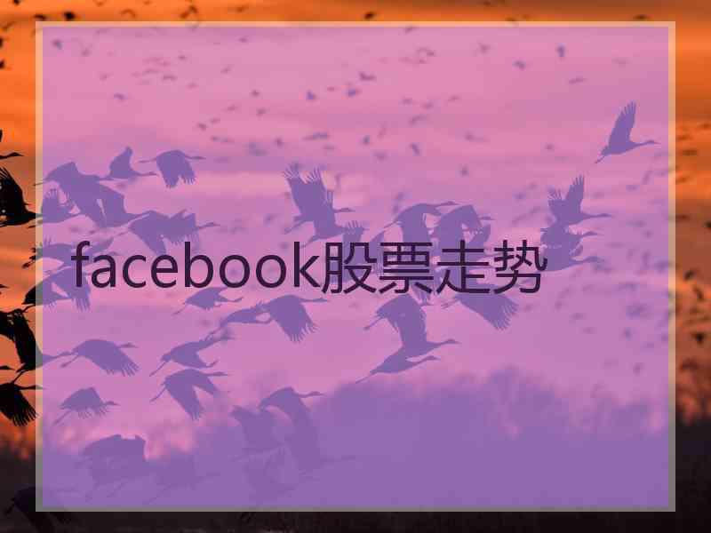 facebook股票走势