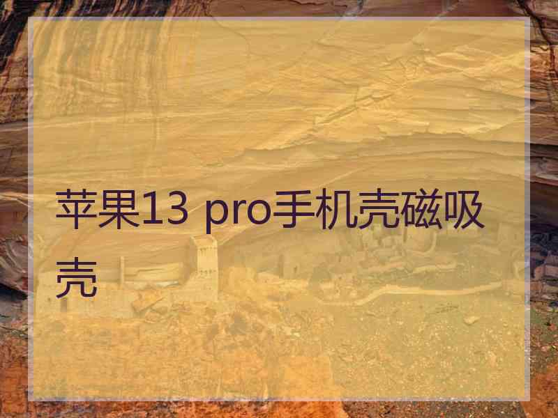 苹果13 pro手机壳磁吸壳