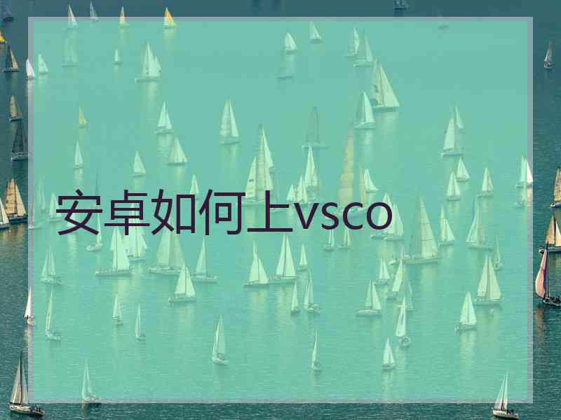 安卓如何上vsco