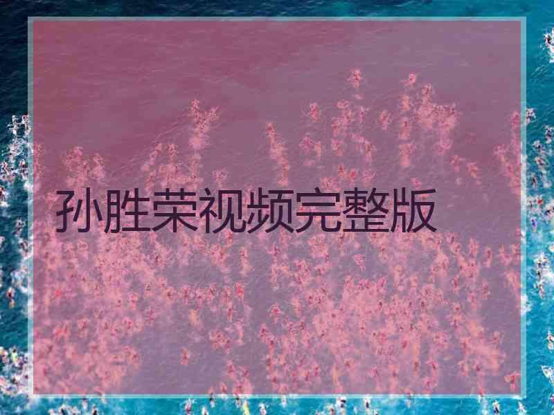 孙胜荣视频完整版