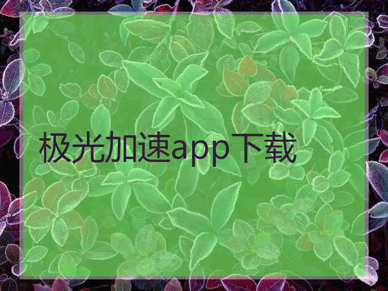 极光加速app下载