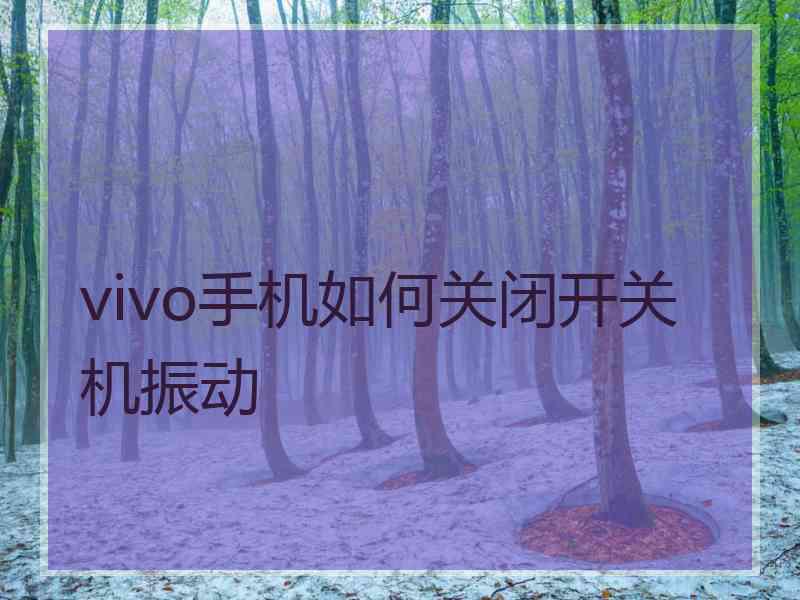 vivo手机如何关闭开关机振动