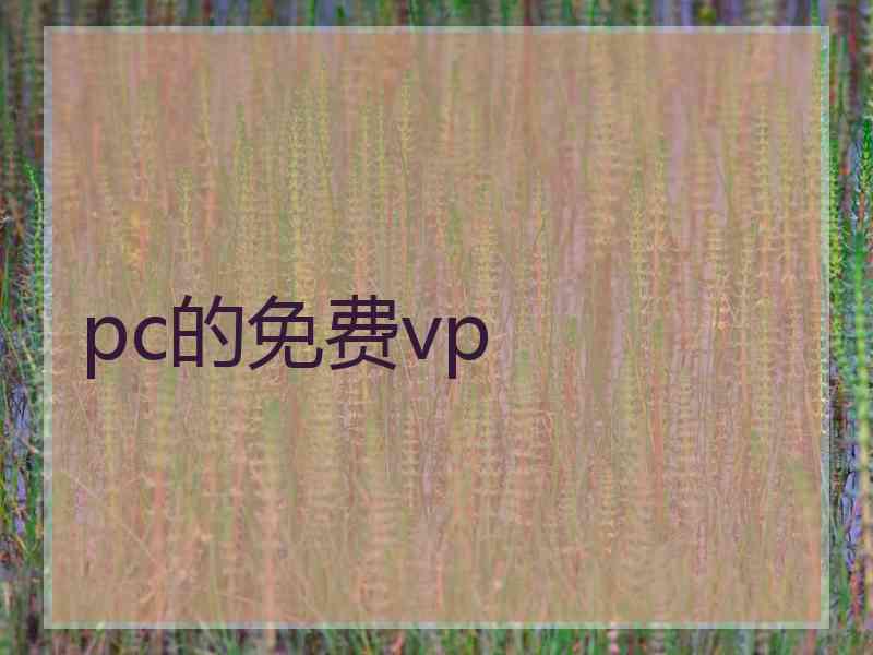 pc的免费vp