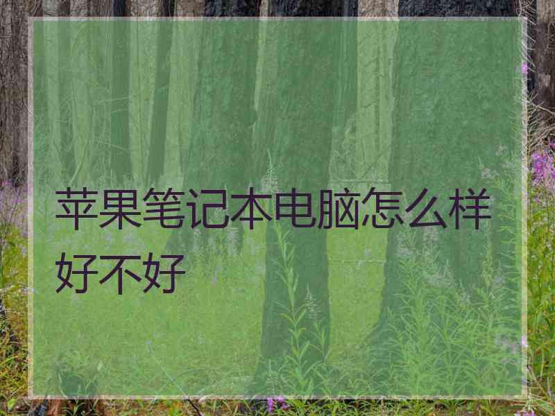 苹果笔记本电脑怎么样好不好