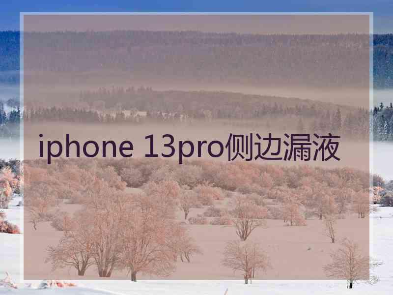 iphone 13pro侧边漏液