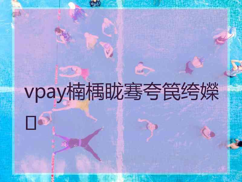 vpay楠楀眬骞夸笢绔嬫