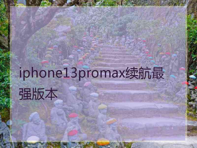 iphone13promax续航最强版本