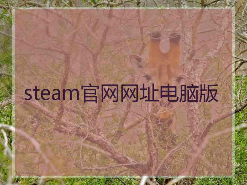 steam官网网址电脑版