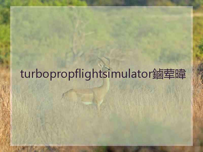 turbopropflightsimulator鏀荤暐