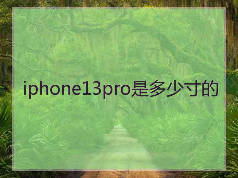 iphone13pro是多少寸的