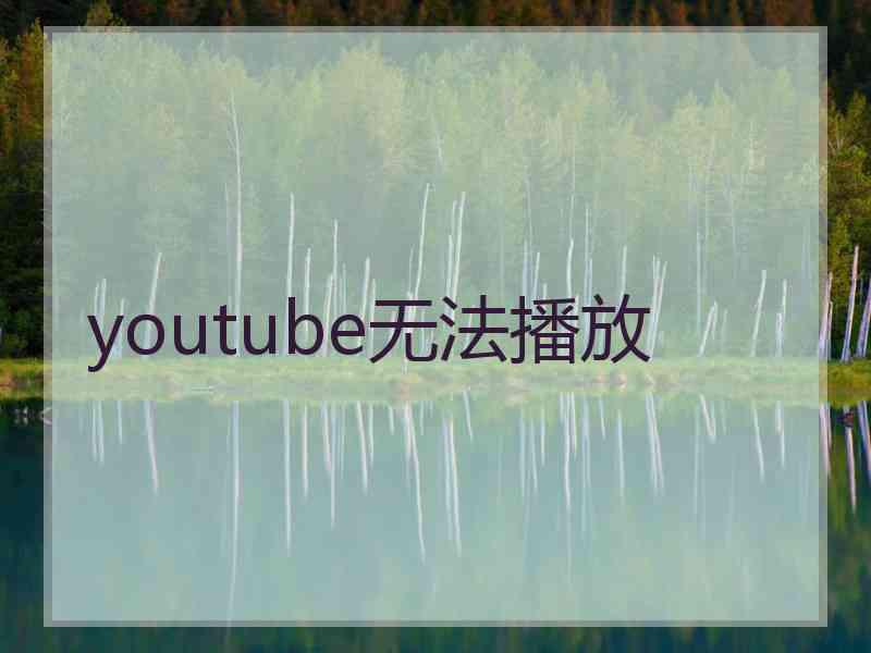 youtube无法播放